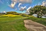 12th_green_(back_of_green)_-_12_feb_2013